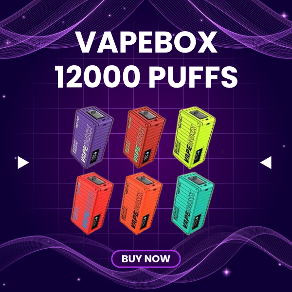 Vapebox 12000 Puffs disposable with smart LED screen display