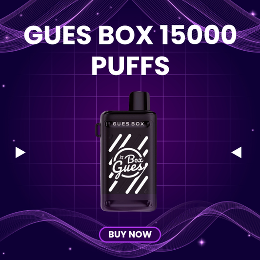 Type-C charging port and intake vents on the base of Gues Box 15000